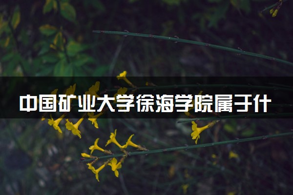 中国矿业大学徐海学院属于什么档次 学校好不好