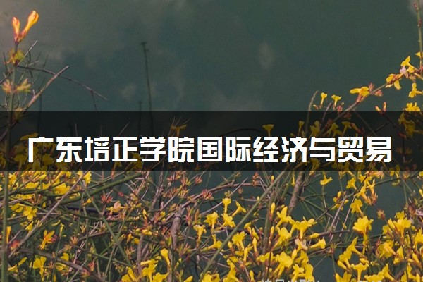 广东培正学院国际经济与贸易专业怎么样 录取分数线多少