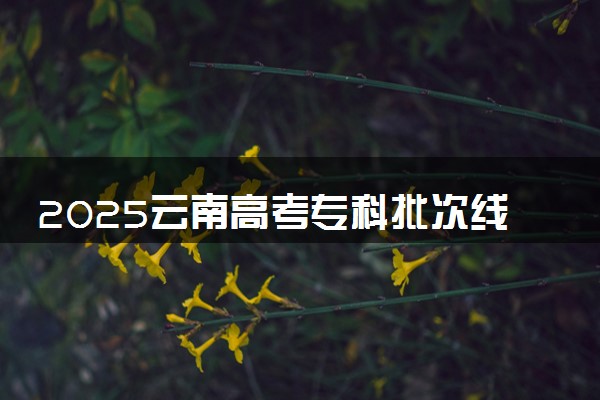 2025云南高考专科批次线预估 最低多少分录取