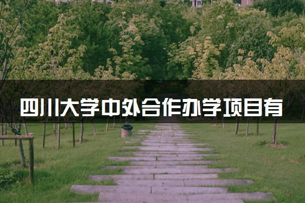 四川大学中外合作办学项目有哪些 要出国吗