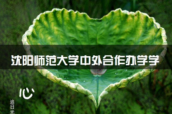 沈阳师范大学中外合作办学学费多少钱 各专业收费标准