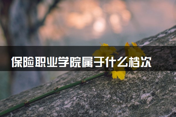 保险职业学院属于什么档次 学校好不好