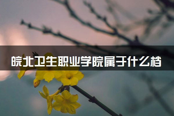 皖北卫生职业学院属于什么档次 学校好不好
