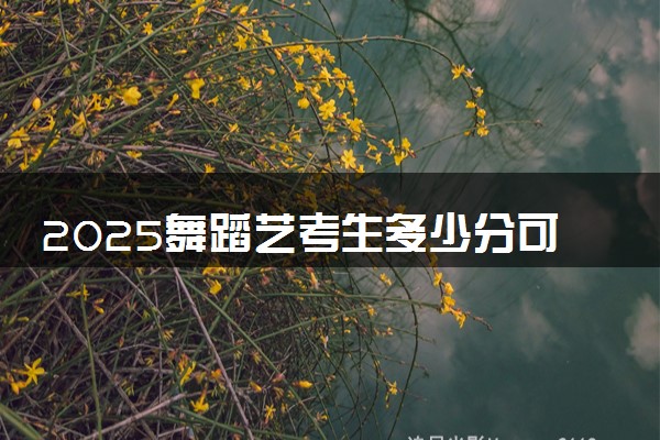 2025舞蹈艺考生多少分可以报菏泽职业学院