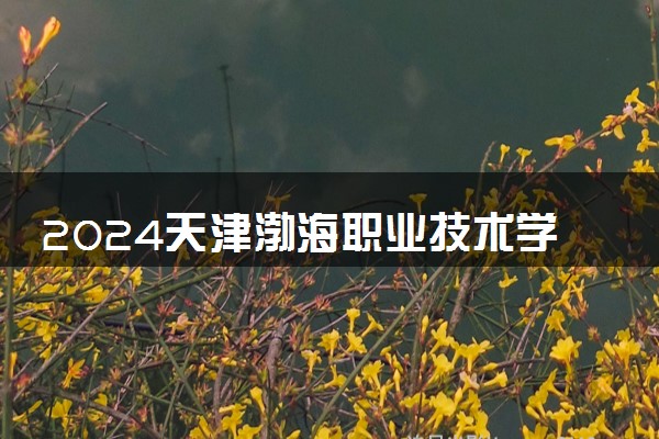 2024天津渤海职业技术学院各省录取分数线是多少 最低分及位次