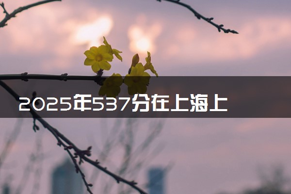 2025年537分在上海上什么大学好 近三年录取分数线是多少