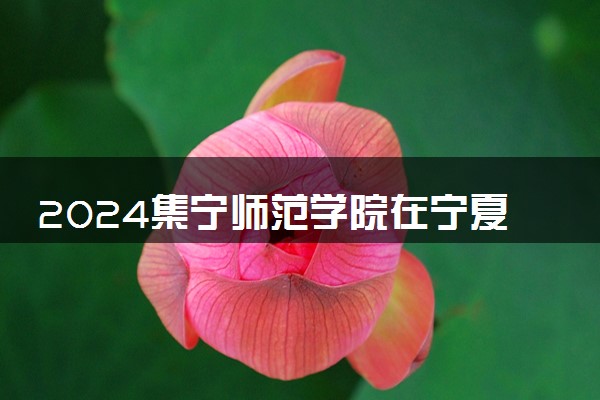 2024集宁师范学院在宁夏录取分数线 各专业分数及位次
