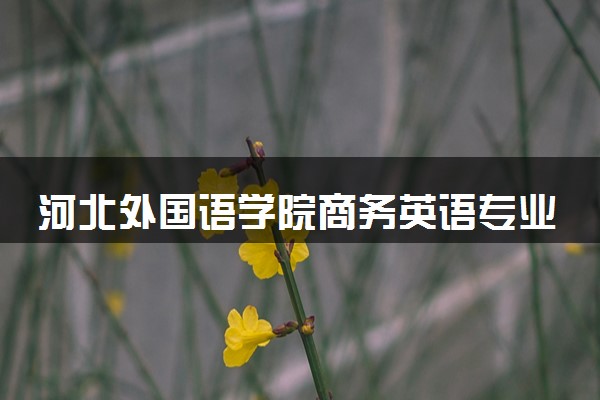 河北外国语学院商务英语专业怎么样 录取分数线多少