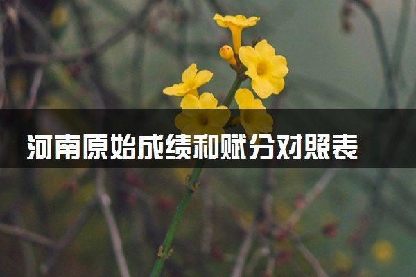 河南原始成绩和赋分对照表 2025新高考赋分计算公式