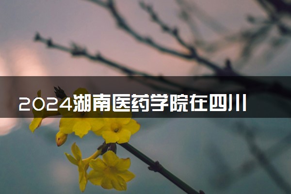 2024湖南医药学院在四川录取分数线 各专业分数及位次