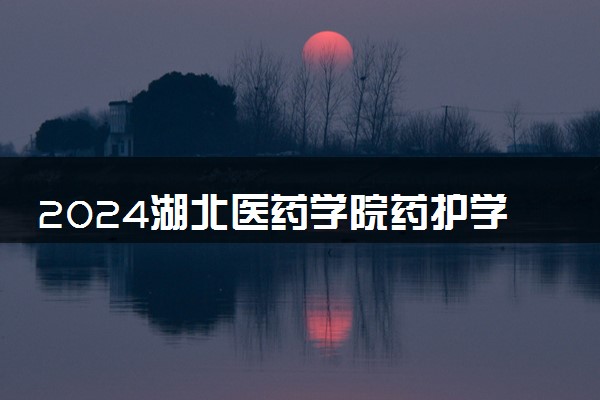 2024湖北医药学院药护学院在四川录取分数线 各专业分数及位次
