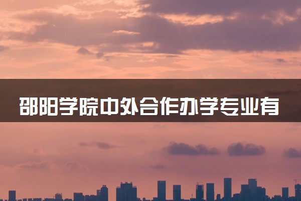 邵阳学院中外合作办学专业有哪些 好就业吗