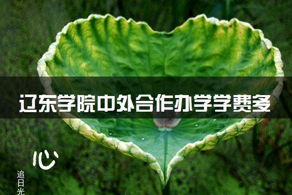 辽东学院中外合作办学学费多少钱 各专业收费标准