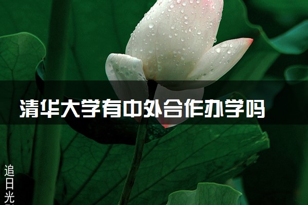 清华大学有中外合作办学吗 录取分数线是多少
