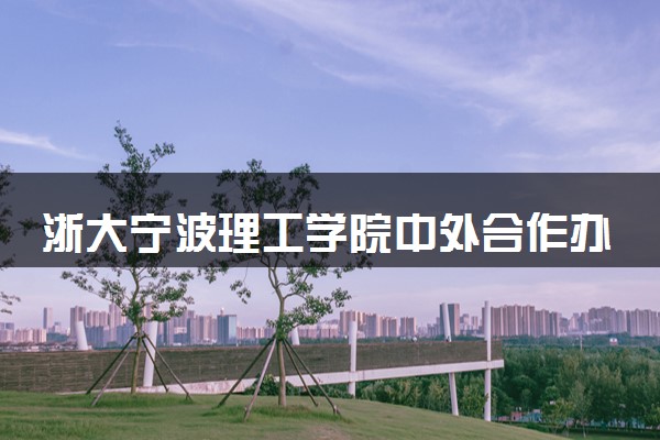 浙大宁波理工学院中外合作办学专业有哪些 好就业吗