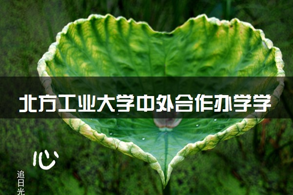 北方工业大学中外合作办学学费多少钱 各专业收费标准
