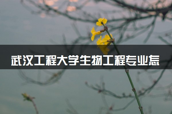 武汉工程大学生物工程专业怎么样 录取分数线多少
