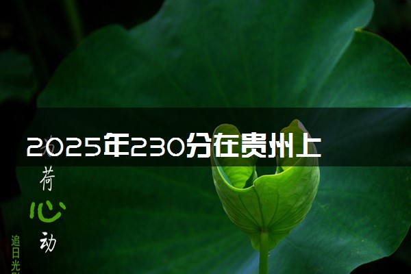 2025年230分在贵州上什么大学好 近三年录取分数线是多少