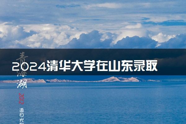 2024清华大学在山东录取分数线 各专业分数及位次
