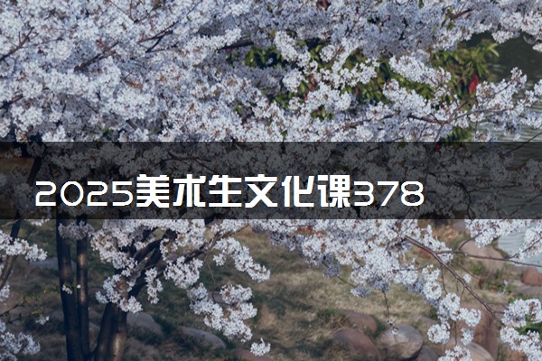 2025美术生文化课378分能上沈阳师范大学吗