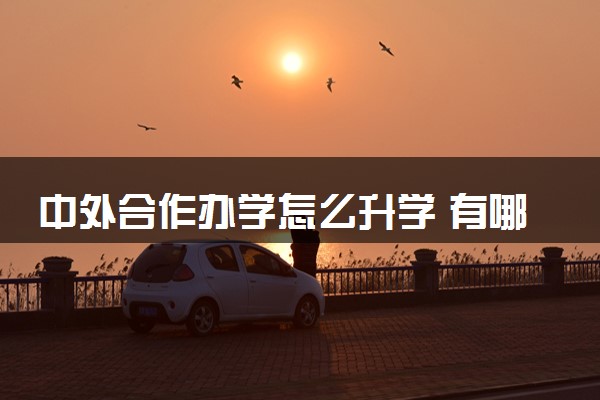 中外合作办学怎么升学 有哪些方式途径