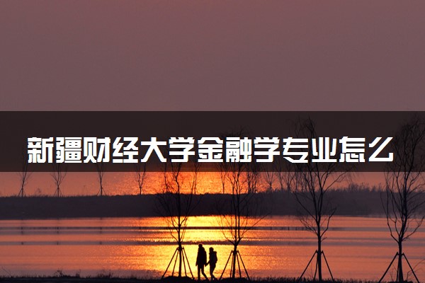 新疆财经大学金融学专业怎么样 录取分数线多少