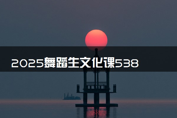 2025舞蹈生文化课538分能上宁夏大学吗