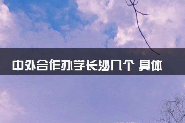 中外合作办学长沙几个 具体院校名单一览