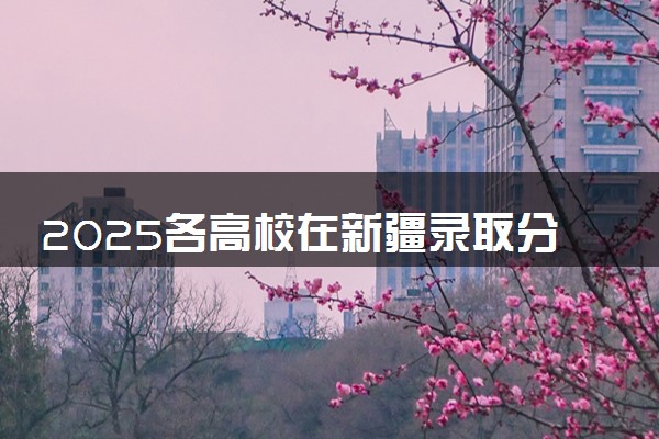 2025各高校在新疆录取分数线 最低分及位次是多少
