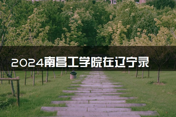 2024南昌工学院在辽宁录取分数线 各专业分数及位次