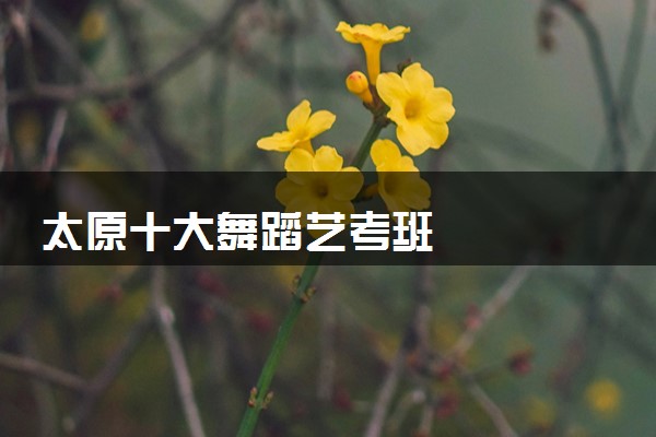 太原十大舞蹈艺考班