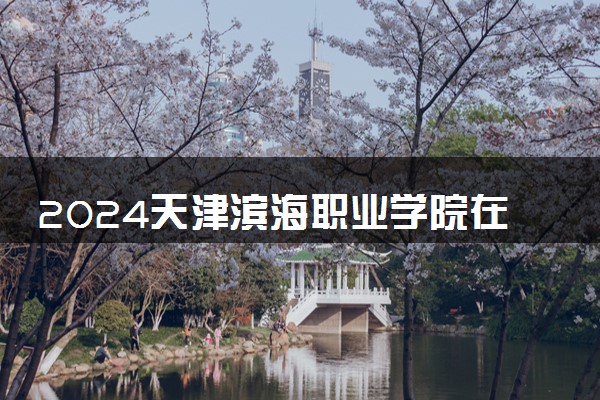 2024天津滨海职业学院在四川录取分数线 各专业分数及位次