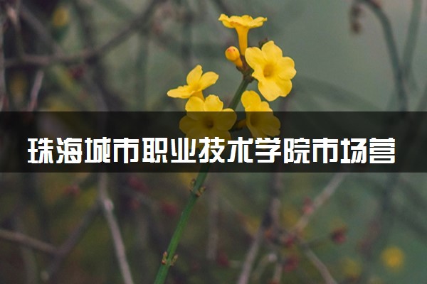 珠海城市职业技术学院市场营销专业怎么样 录取分数线多少