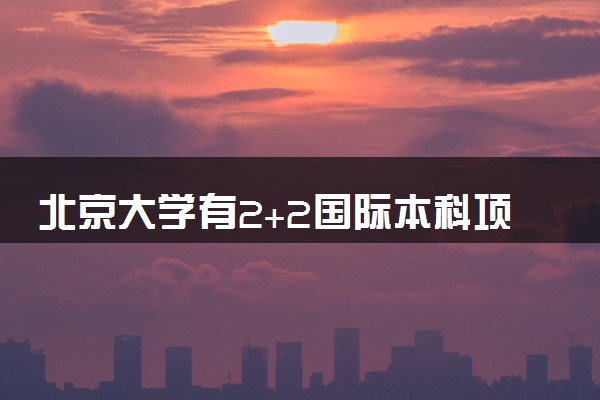 北京大学有2+2国际本科项目吗 分数线多少
