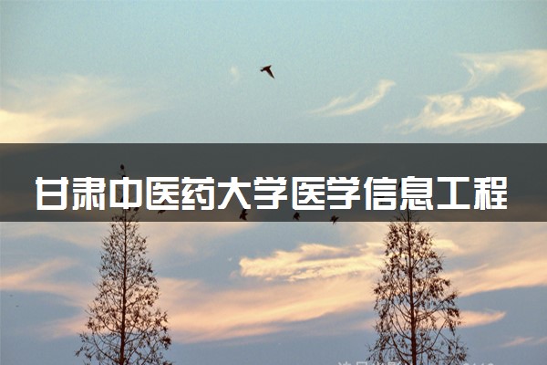 甘肃中医药大学医学信息工程专业怎么样 录取分数线多少