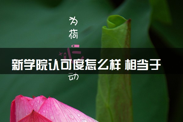 新学院认可度怎么样 相当于国内什么大学