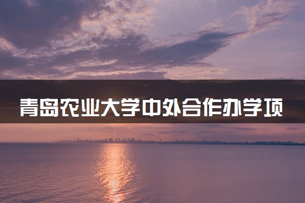 青岛农业大学中外合作办学项目有哪些 要出国吗