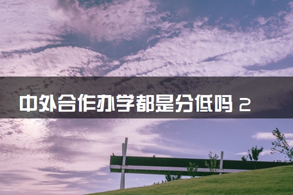 中外合作办学都是分低吗 2024分数线是多少
