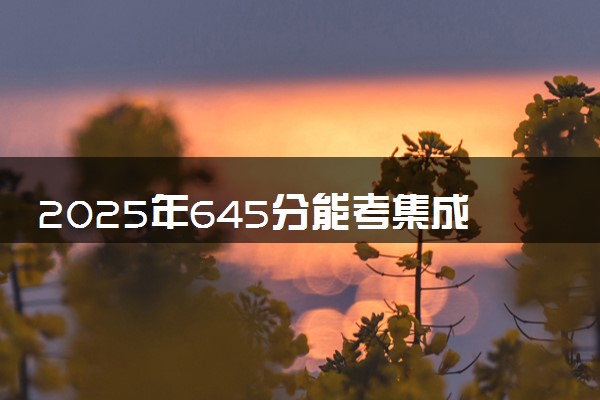 2025年645分能考集成电路设计与集成系统专业吗 645分集成电路设计与集成系统专业大学推荐