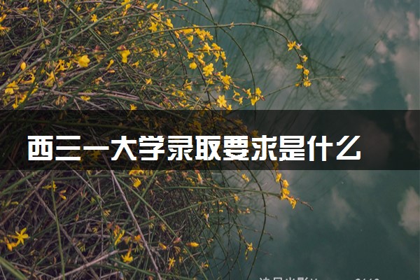 西三一大学录取要求是什么 怎么提高录取率