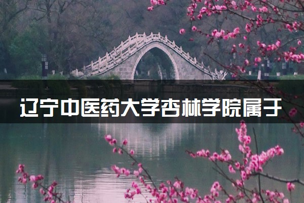辽宁中医药大学杏林学院属于什么档次 学校好不好