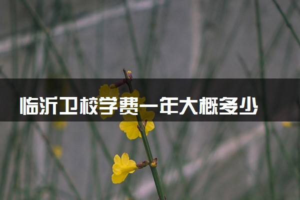 临沂卫校学费一年大概多少