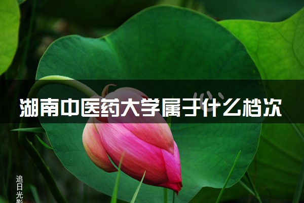 湖南中医药大学属于什么档次 学校好不好