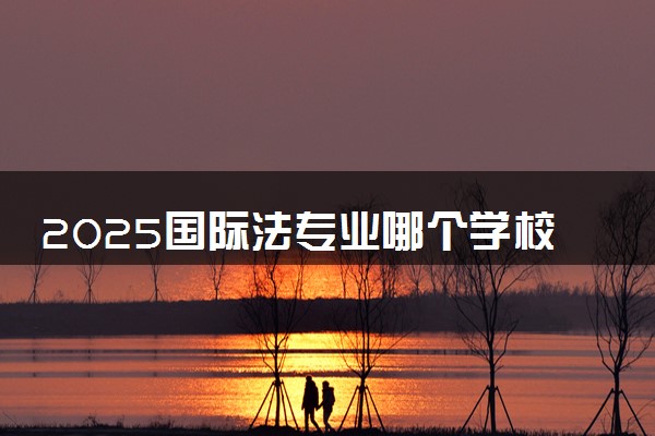 2025国际法专业哪个学校最好 全国排名前10强