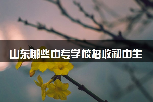 山东哪些中专学校招收初中生 山东靠谱的中专学校