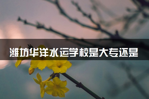 潍坊华洋水运学校是大专还是中专 正规吗