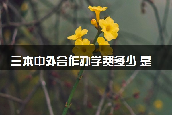 三本中外合作办学费多少 是否值得读