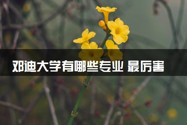 邓迪大学有哪些专业 最厉害三个专业是什么