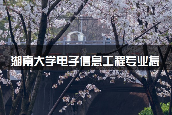 湖南大学电子信息工程专业怎么样 录取分数线多少