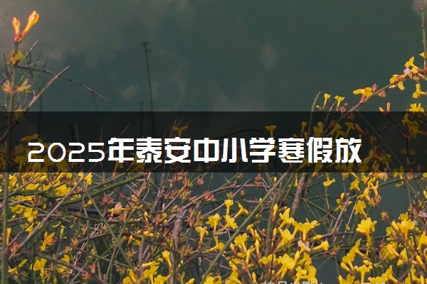 2025年泰安中小学寒假放假时间